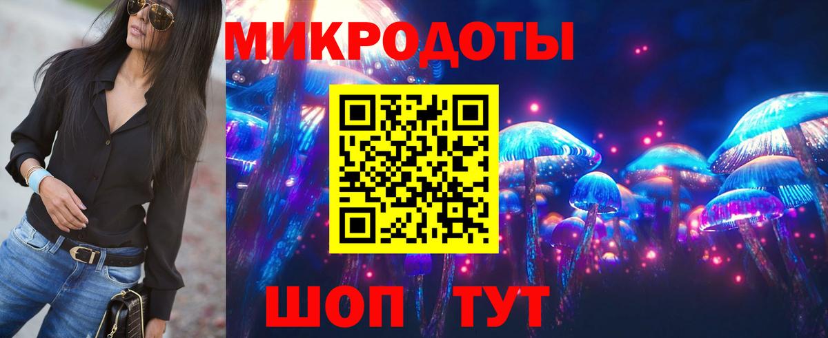 Верхняя Салда  Галлюциногенные грибы Psilocybine cubensis  Вход с VPN 